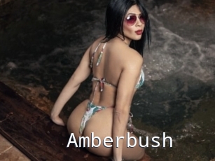 Amberbush