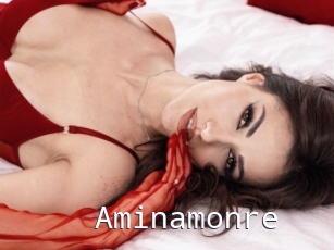 Aminamonre
