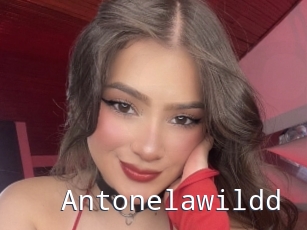 Antonelawildd