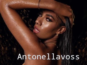 Antonellavoss