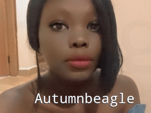 Autumnbeagle