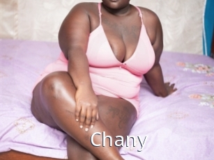 Chany