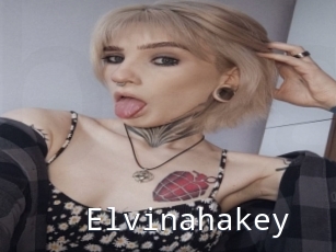Elvinahakey