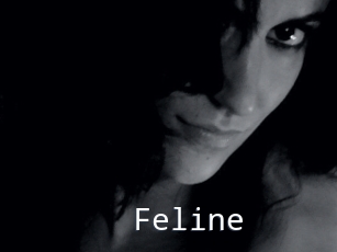Feline