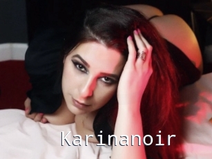 Karinanoir