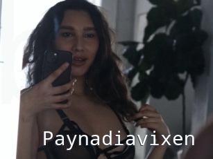 Paynadiavixen