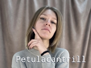 Petulacantrill