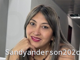 Sandyanderson202cl