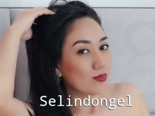 Selindongel
