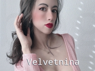Velvetnina