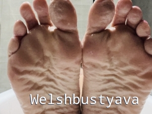 Welshbustyava