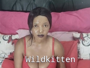 Wildkitten