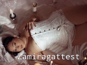 Zamiragattest